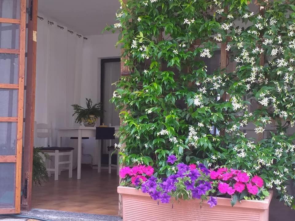 Alla Ghigliotta فيفيروني المظهر الخارجي الصورة